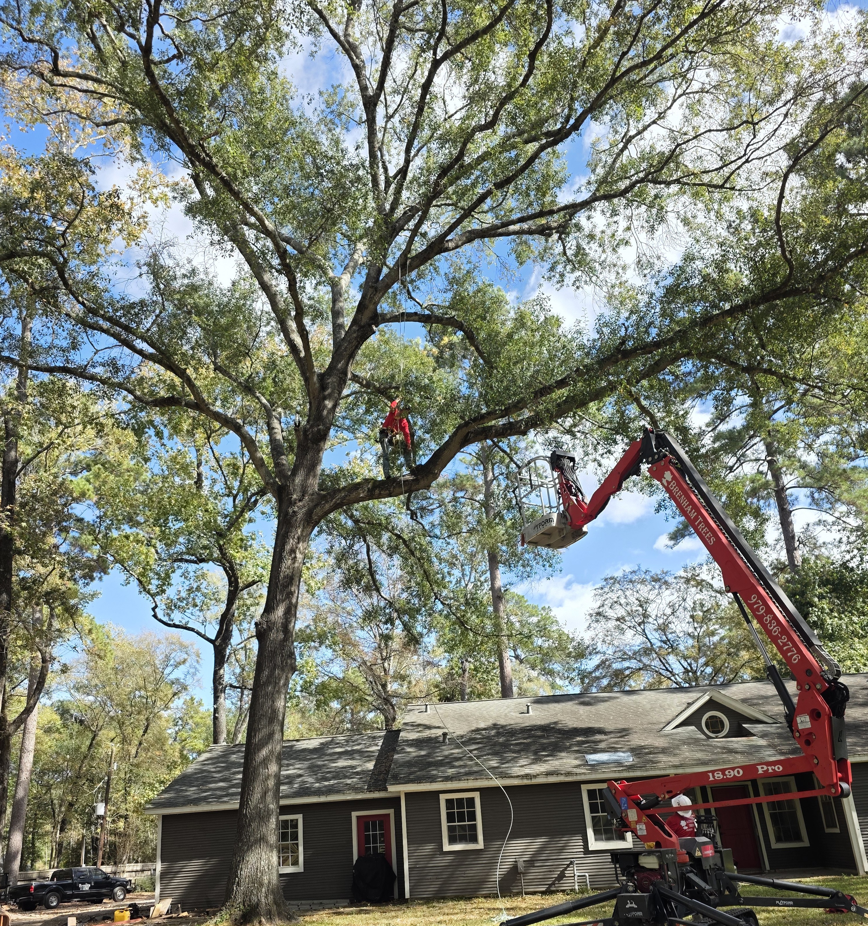 Training day, the tracked lift working a tree over a home