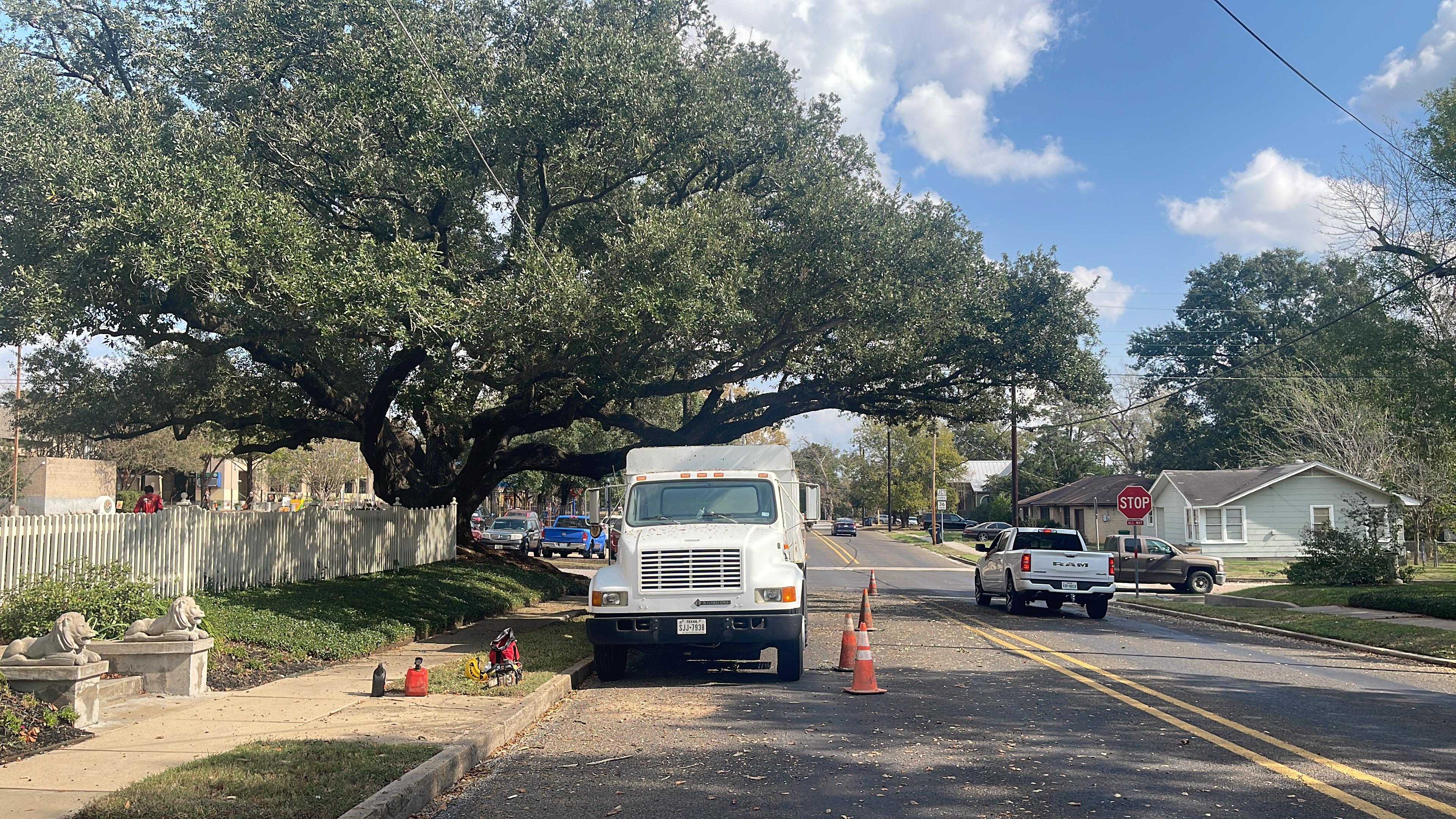 Chip truck staged under a wide live oak on a neighborhood street