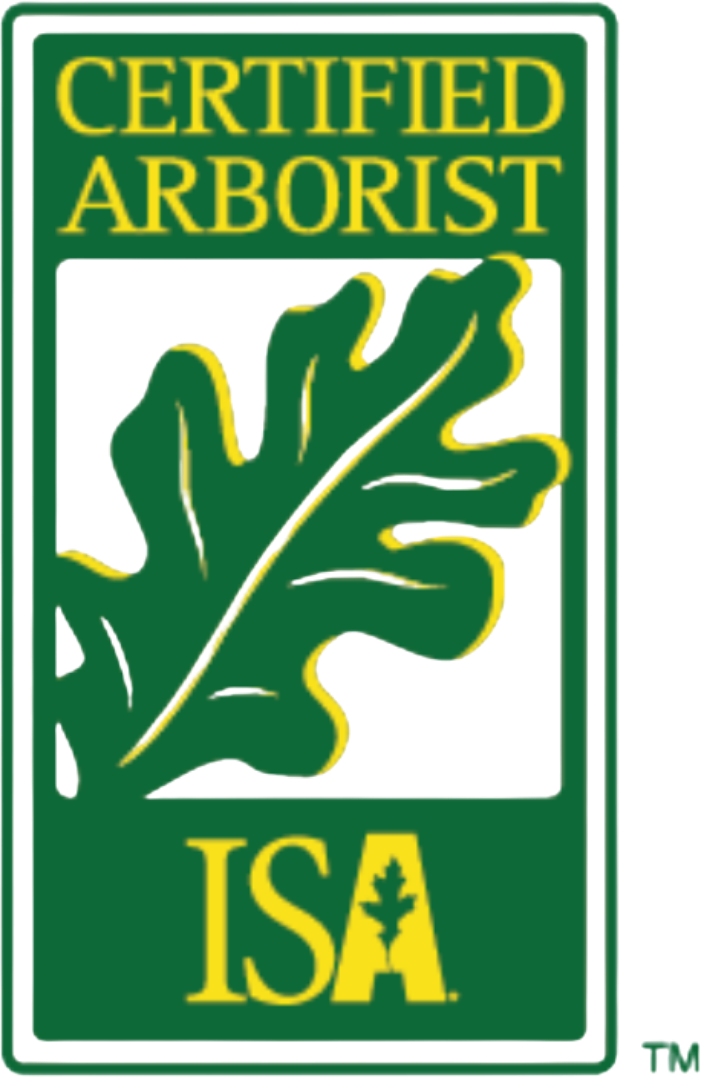 ISA Certified Arborist badge
