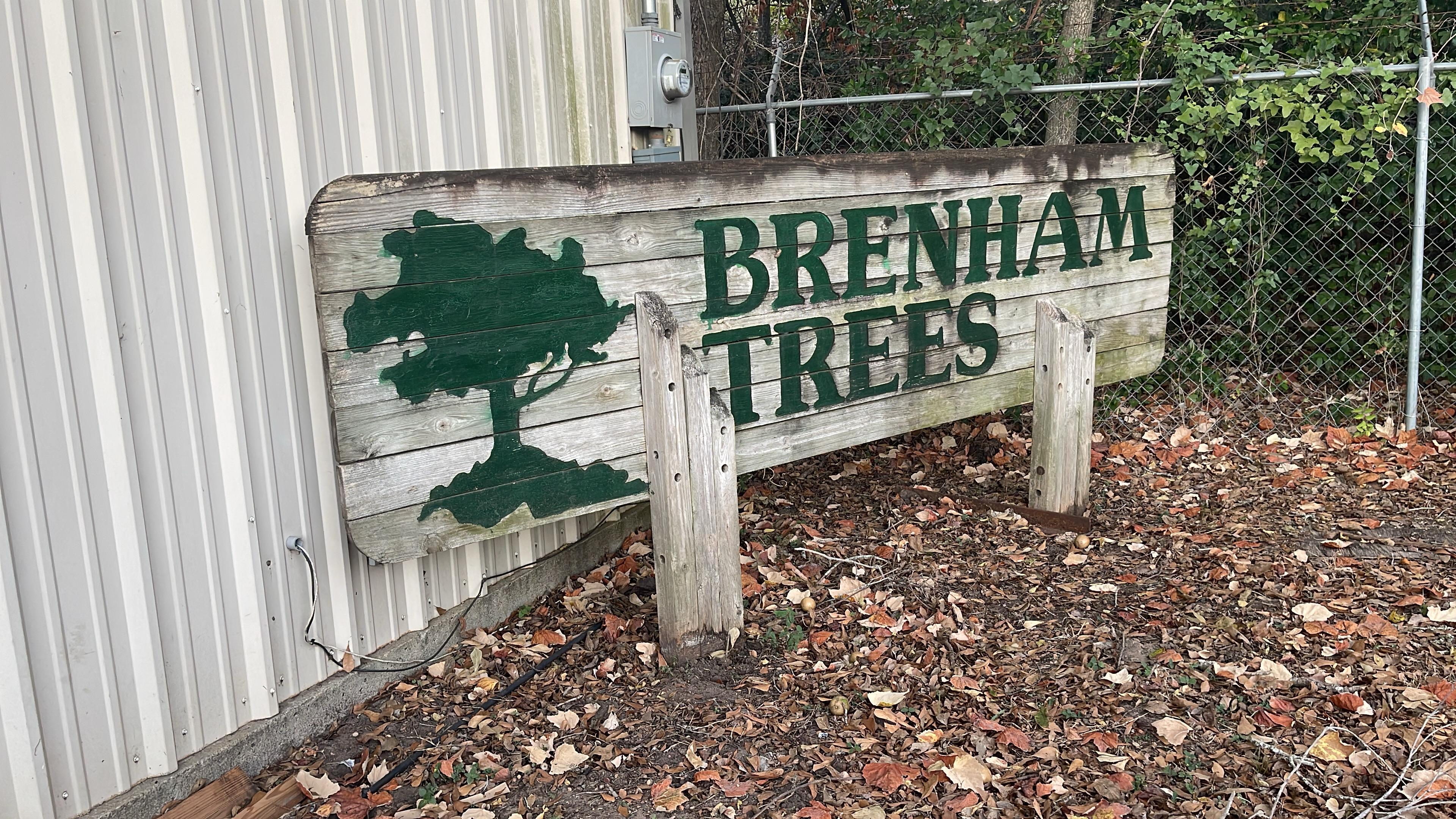 Hand painted Brenham Trees sign at the shop